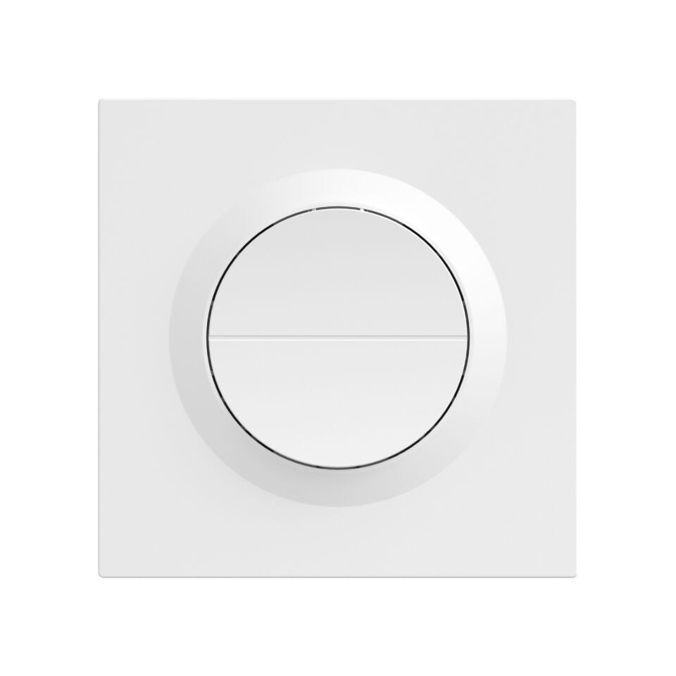 SONOFF Fusion Serisi Orb-ZBW2 Zigbee 2 Kanallı Akıllı Duvar Anahtarı | MINI-ZB2GS-E
