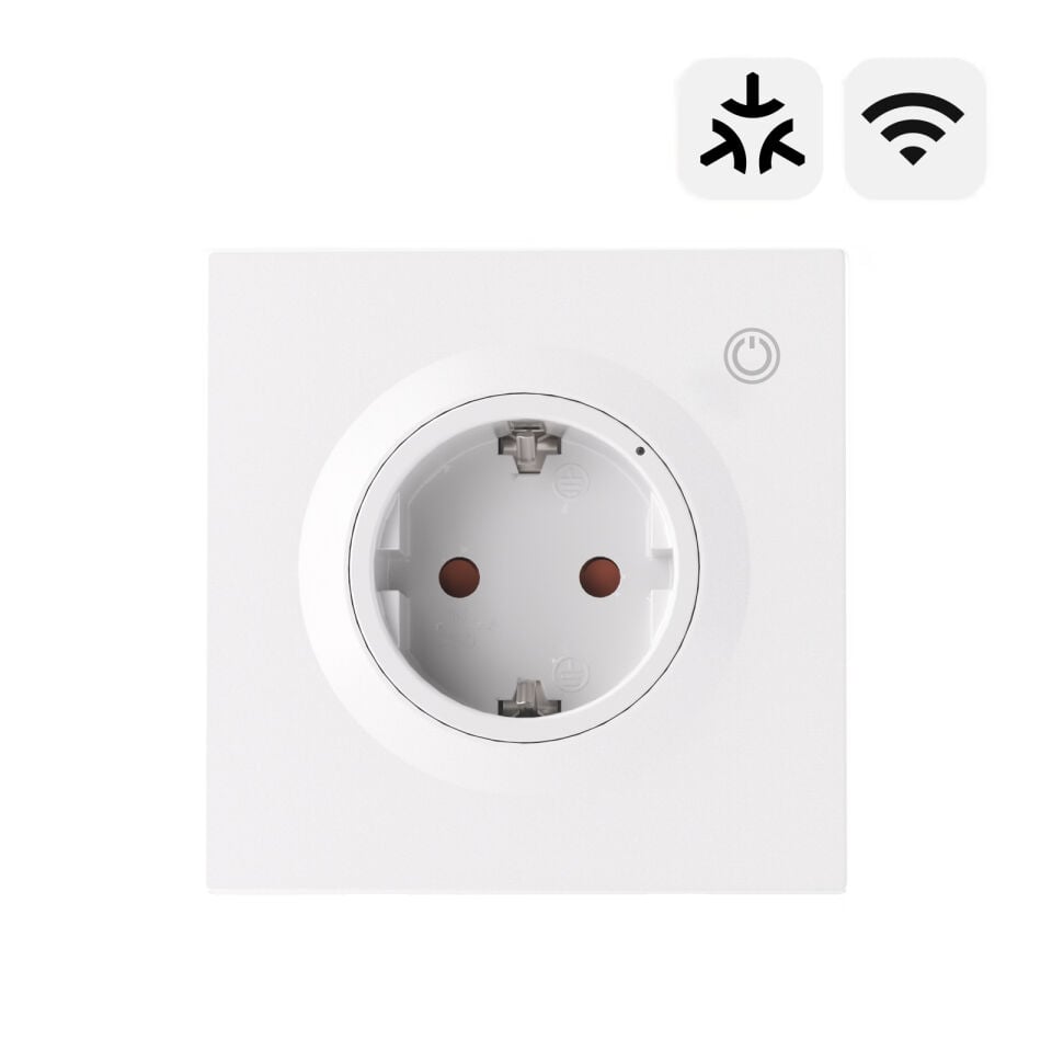 SONOFF Fusion Serisi Matter Akıllı Duvar Prizi | WS01TPF-E